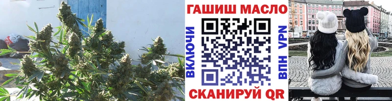ТГК Wax  Городовиковск 